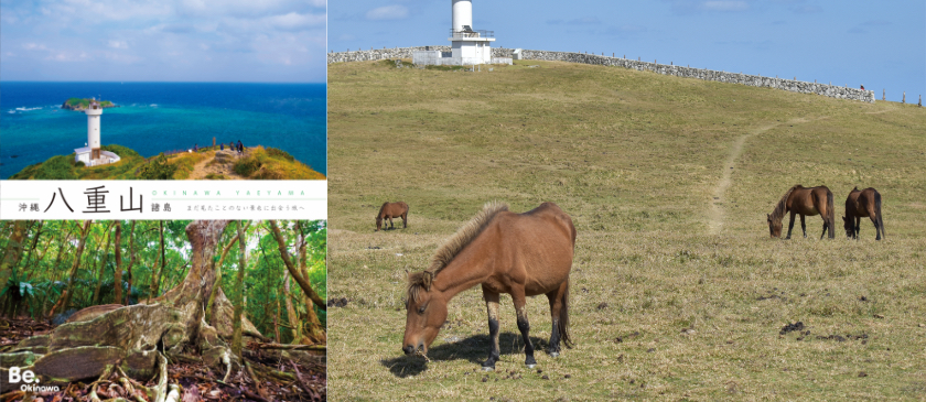 八重山観光パンフレット制作